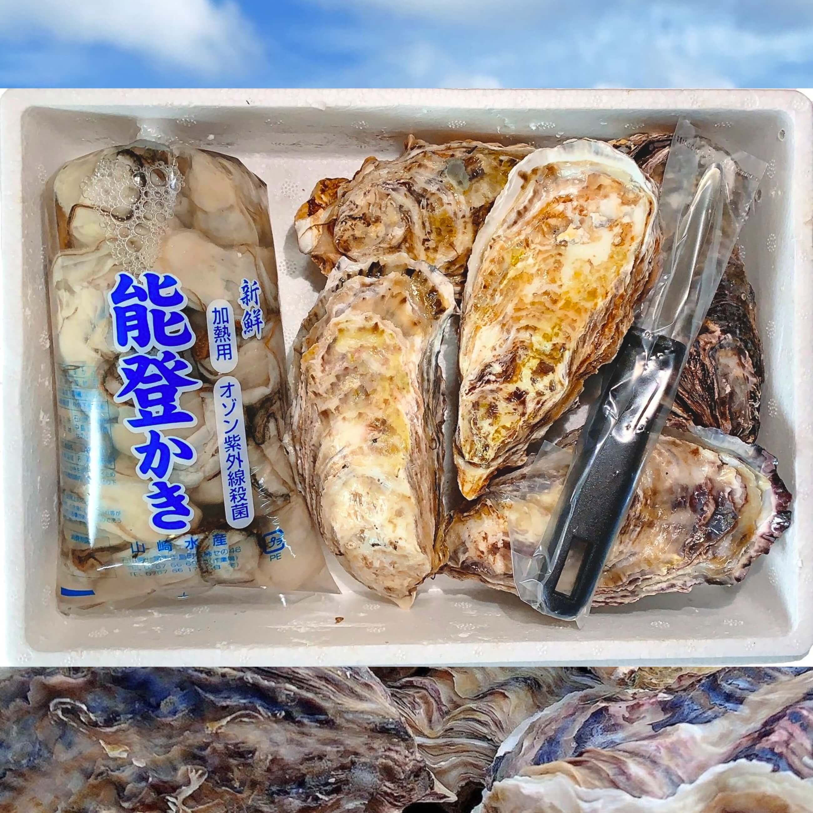 むき身（加熱用）・殻付き牡蛎セット むき身牡蛎　約５００ｇ　殻付き牡蛎　約5個